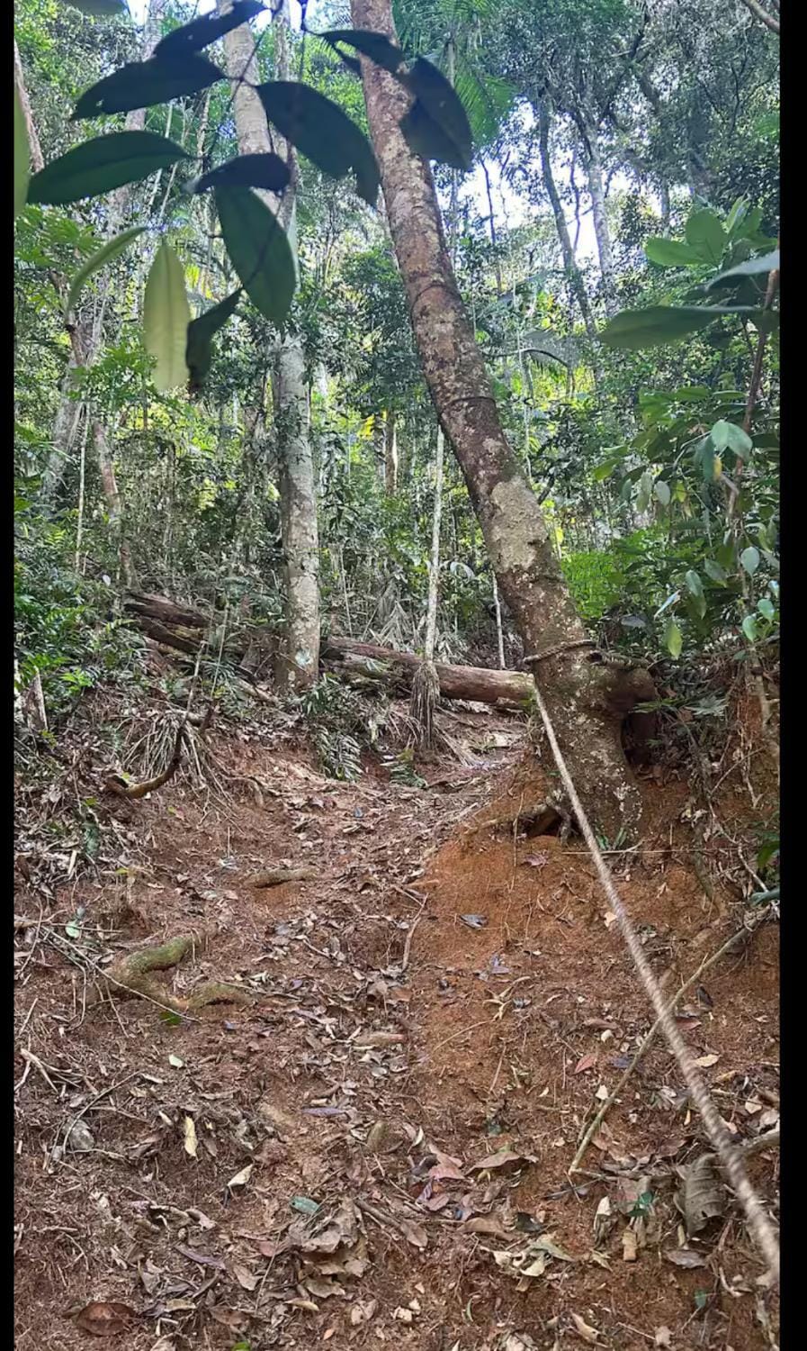 Hiking