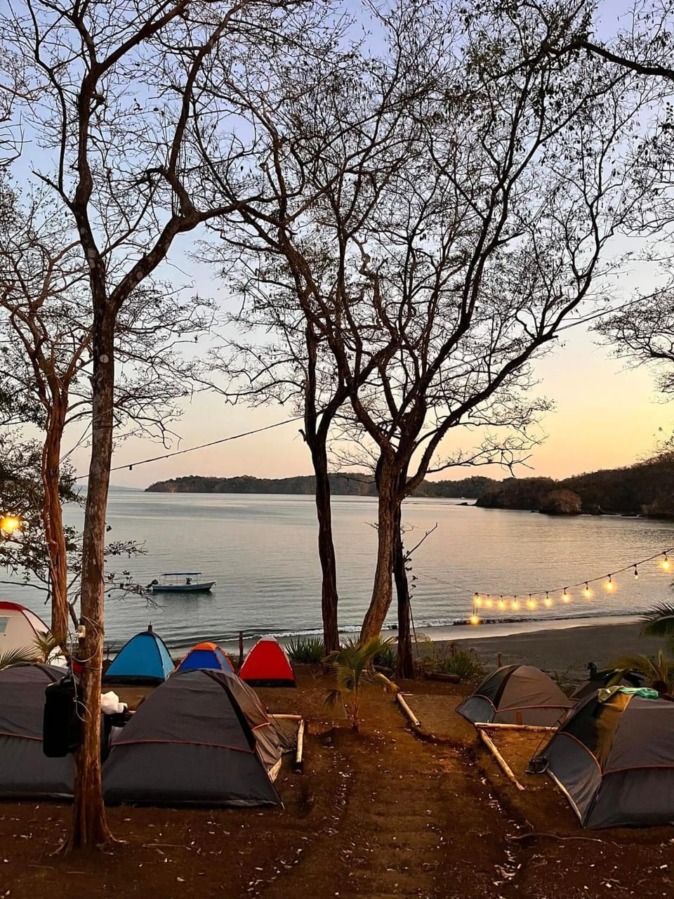Tour de Bioluminisciencia con Camping Luxury tent in Alajuela Province