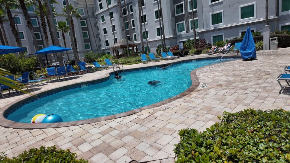 110 - Next to Disney - Pool Apartment in Orlando