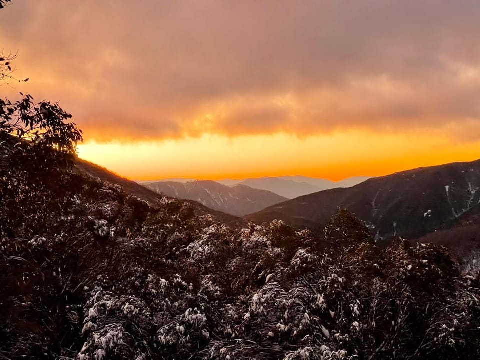 Altezza 2 bedroom apartments Apartment in Falls Creek
