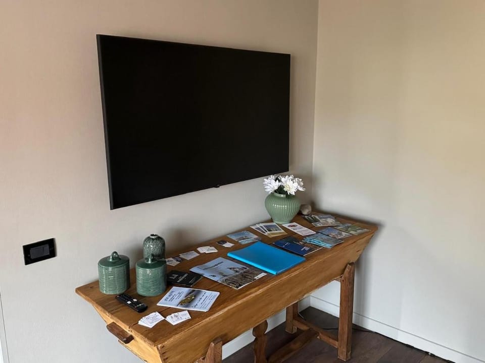 TV and multimedia
