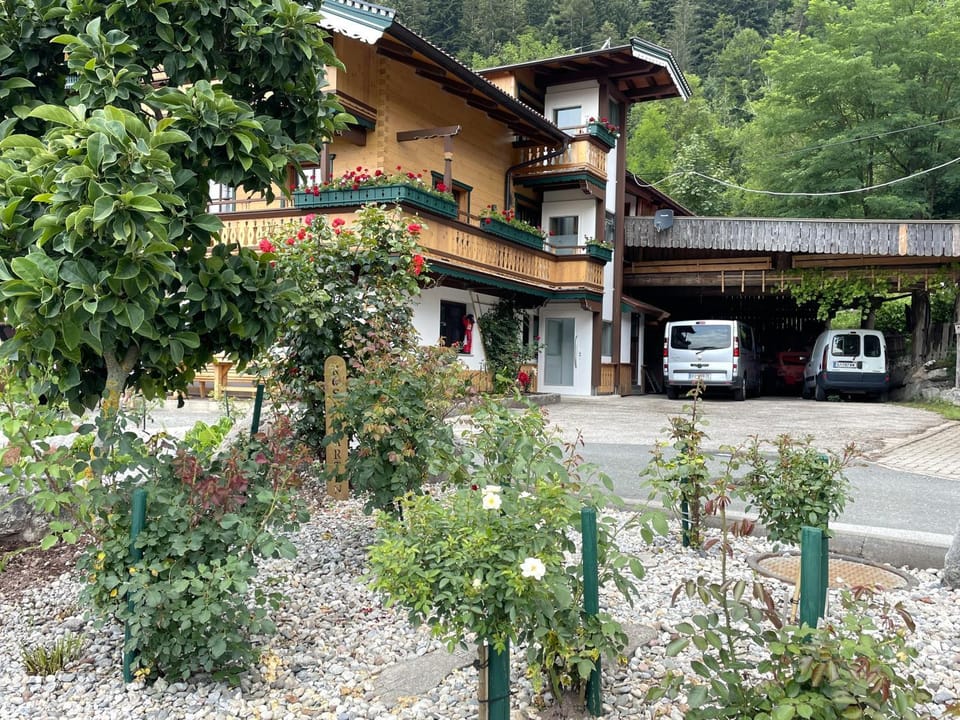 Property building, Day