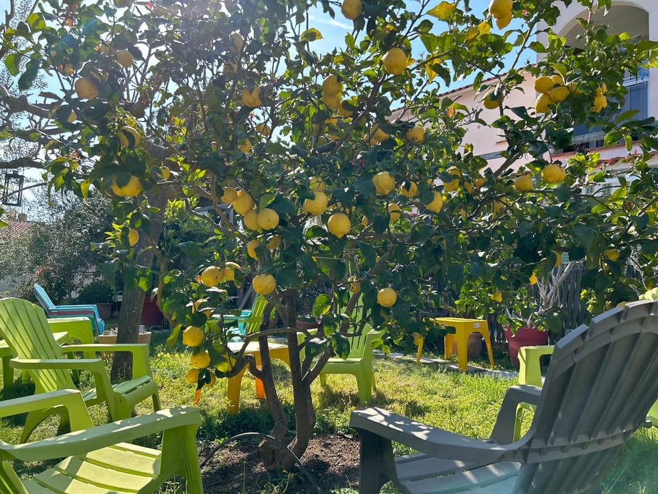 Garden view