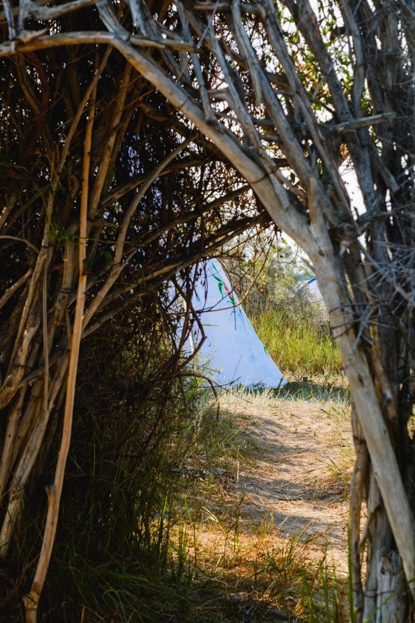 Natural landscape, Garden