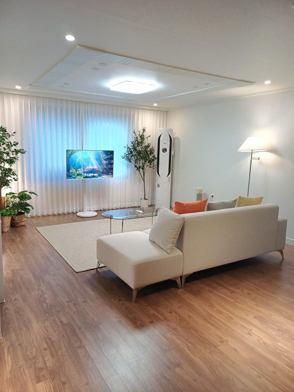 TV and multimedia, Living room