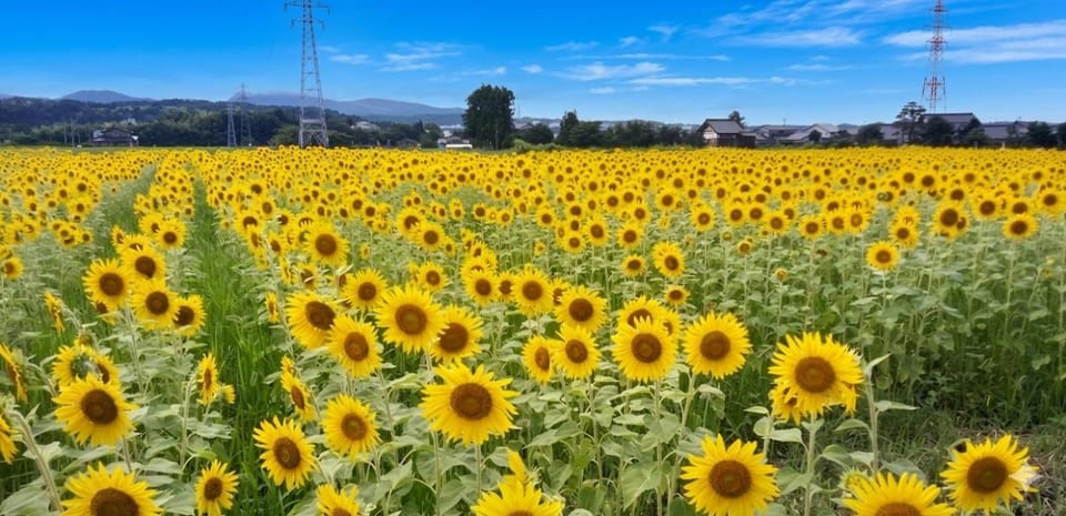 いやし民泊の宿てっち Bed and Breakfast in Ishikawa Prefecture