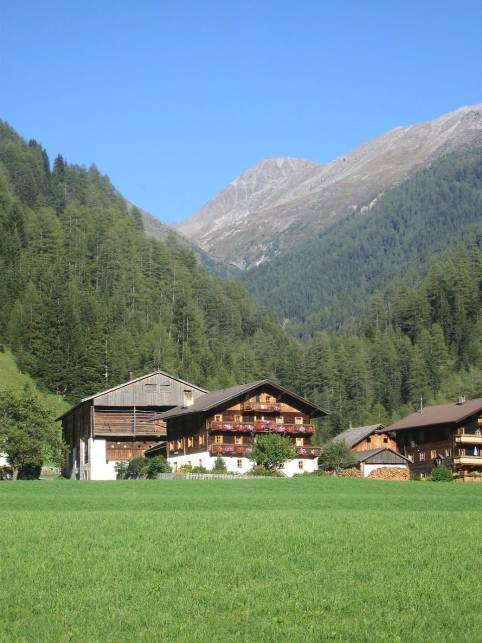 Nigglerhof Vacation rental in Salzburgerland