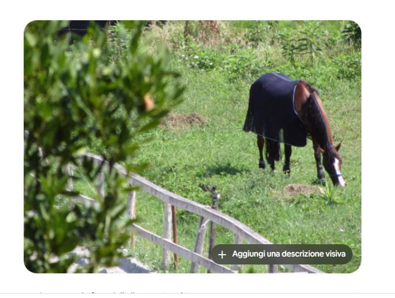 Appartamento moderno e comodissimo a Sestri Levante Apartment in Sestri Levante