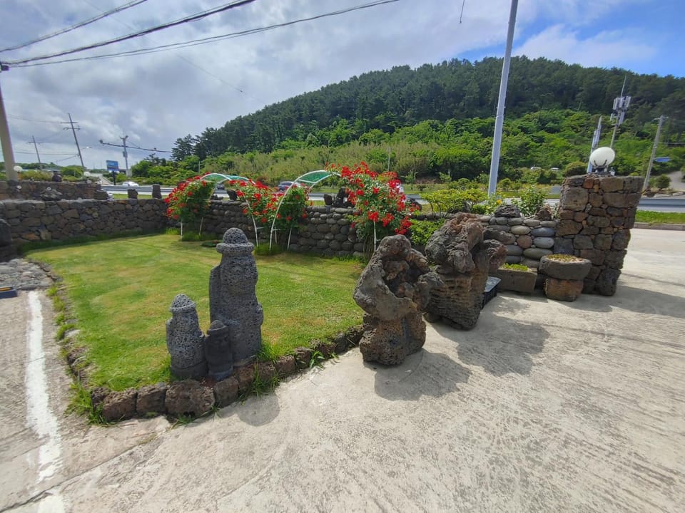 Natural landscape, Garden, Garden view, Mountain view
