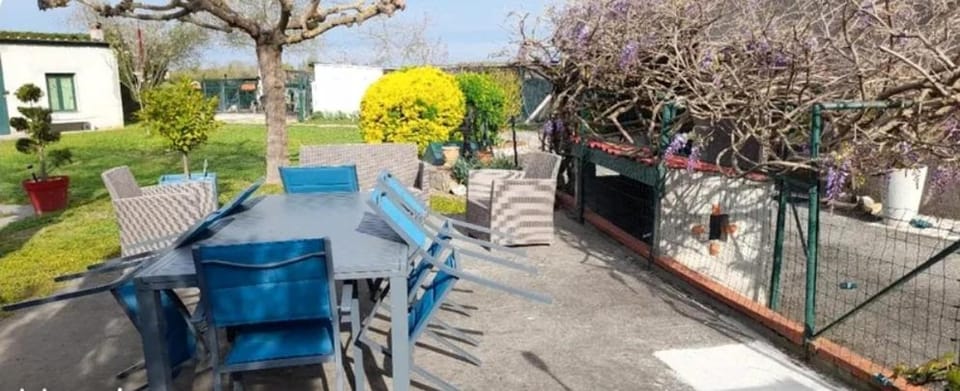 Le petit Pouncet Apartment in Occitanie