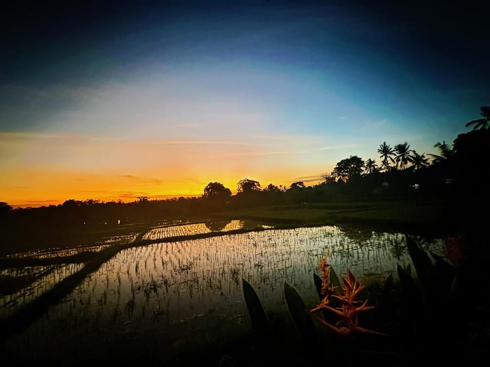 Natural landscape, Sunset