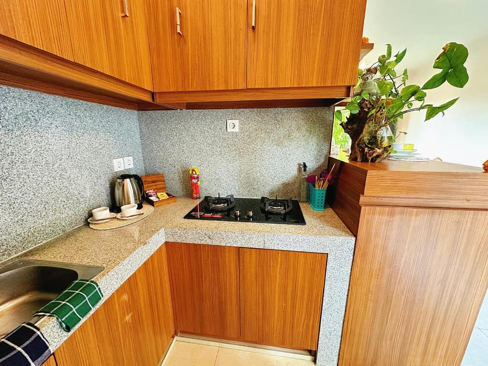 Coffee/tea facilities, Kitchen or kitchenette, stove