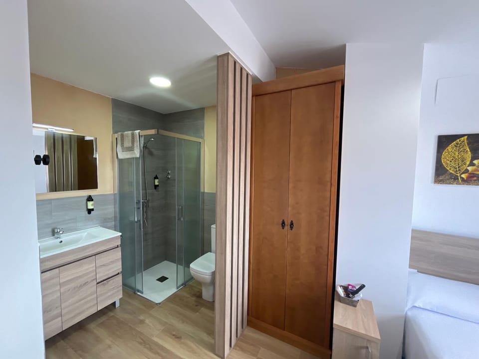 Shower, Toilet, Bed, Bathroom, Photo of the whole room, Bedroom, towels, wardrobe