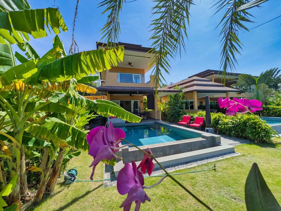 Property building, Day, Garden, Garden, Garden view, Pool view, Swimming pool, sunbed
