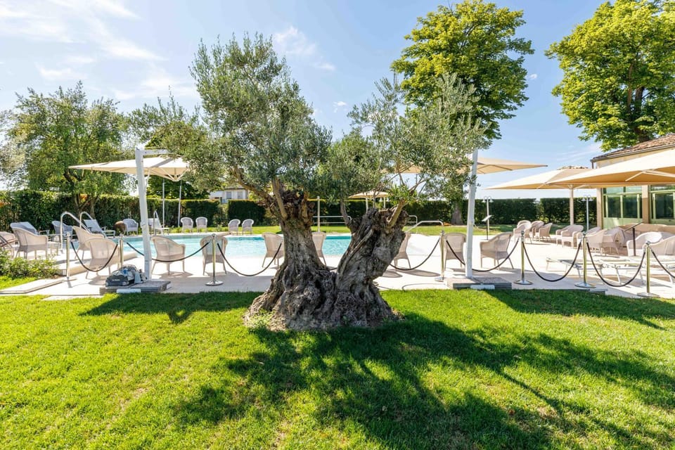 Garden, Garden view, Swimming pool