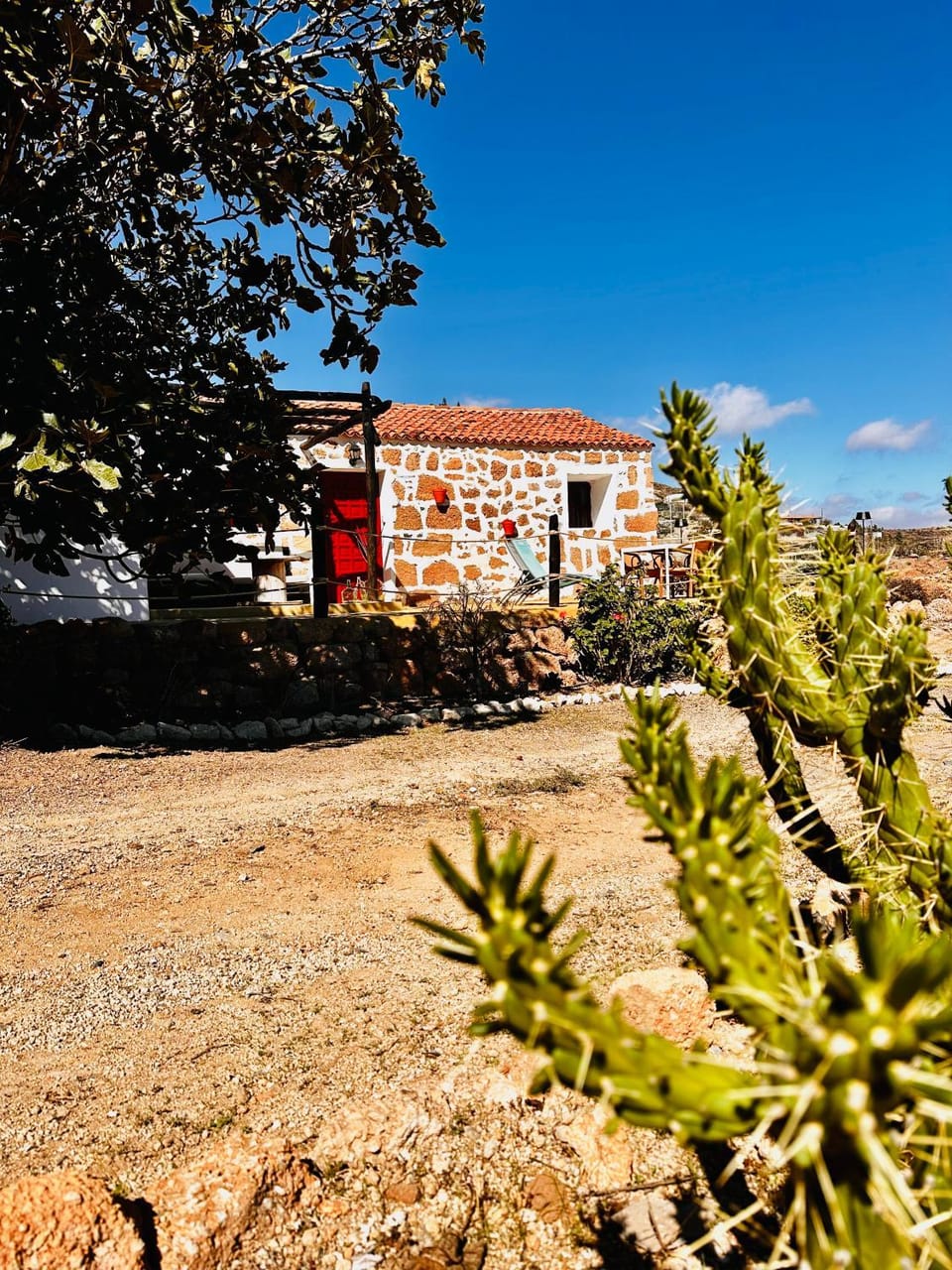 Property building, Garden