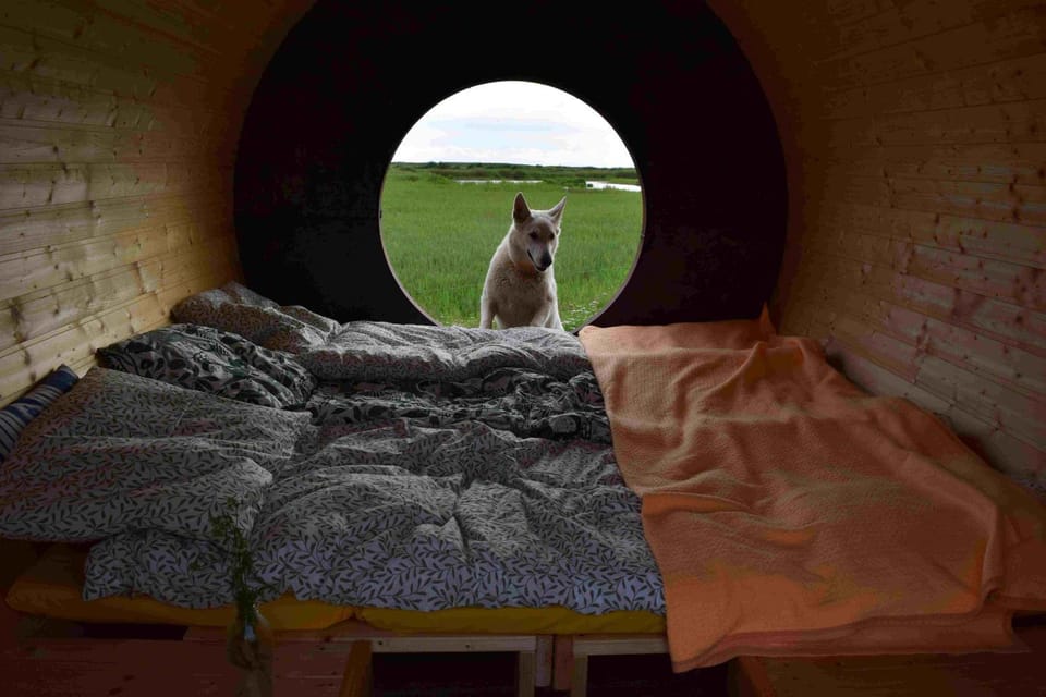 100xZOOM Luxury tent in Estonia