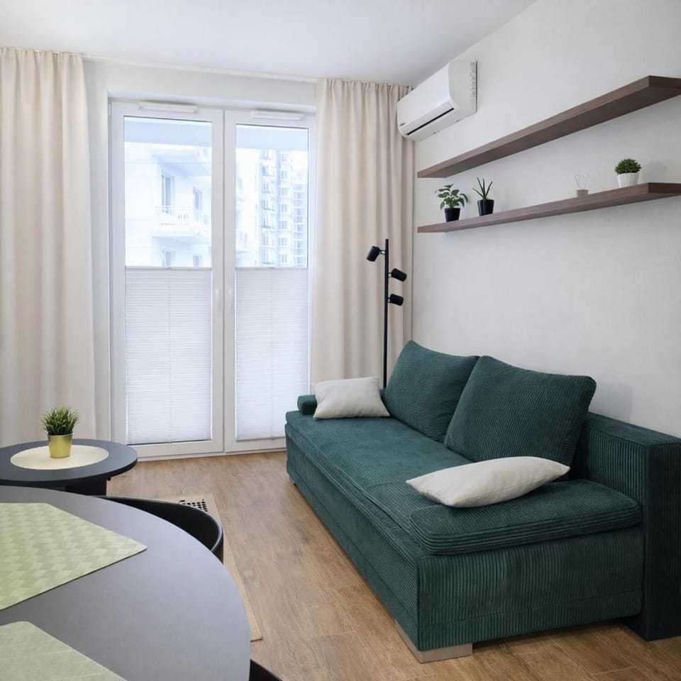 Living room, Photo of the whole room, Seating area, air conditioner