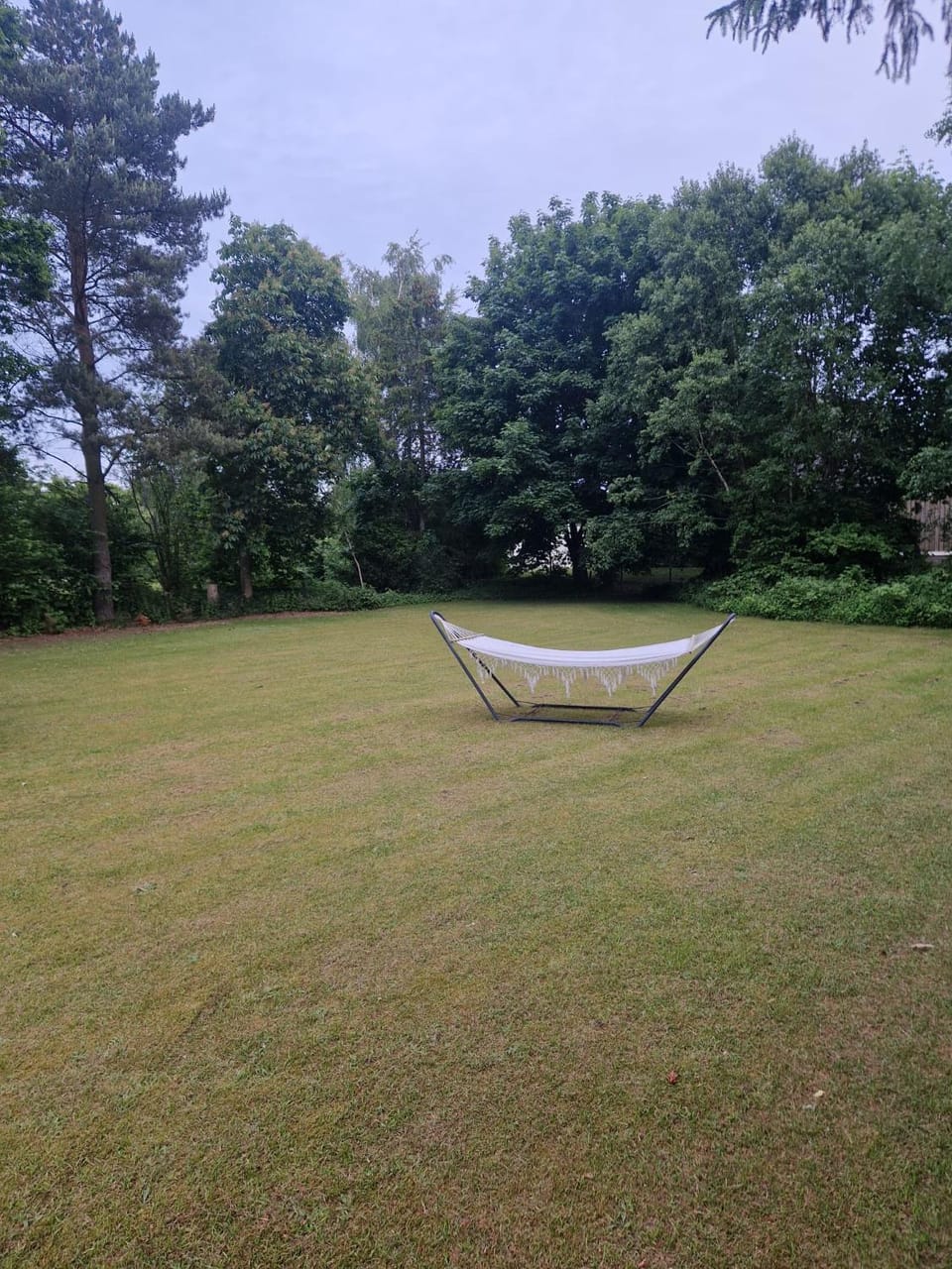 Day, Garden, Garden view