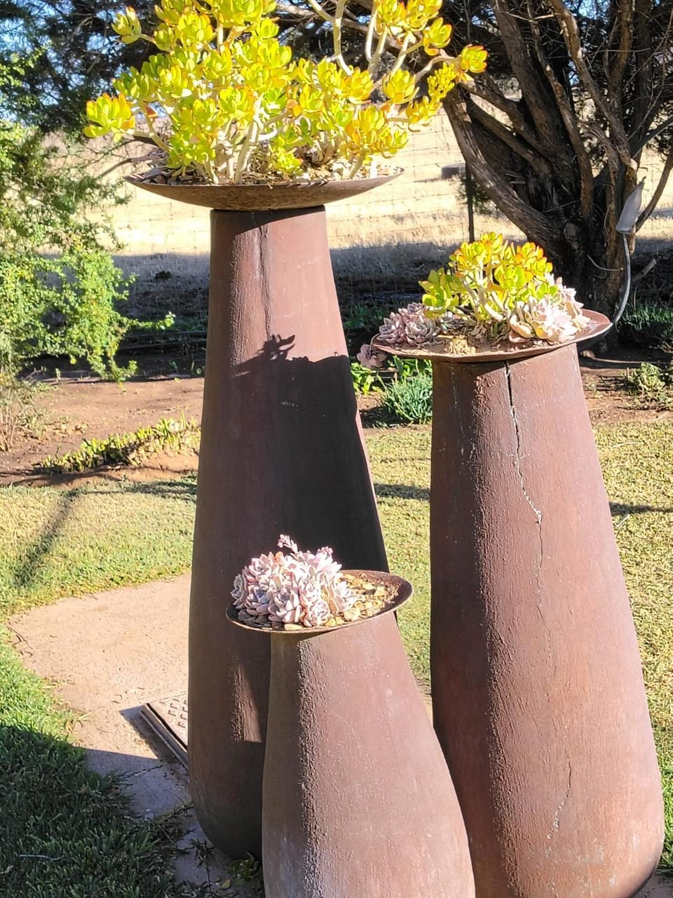 Wildebeespan Guest Farm Bed and Breakfast in North West, South Africa