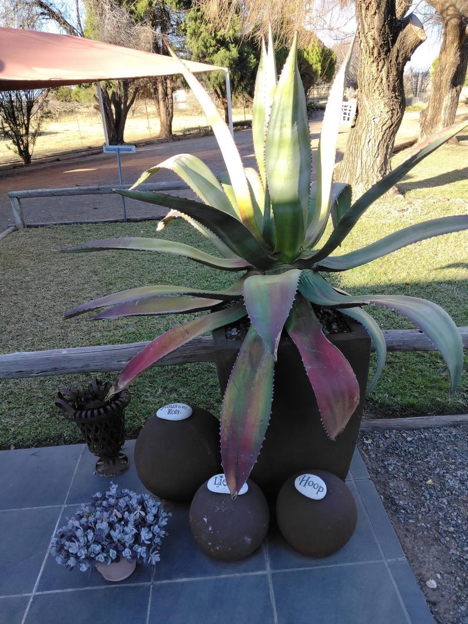 Wildebeespan Guest Farm Bed and Breakfast in North West, South Africa