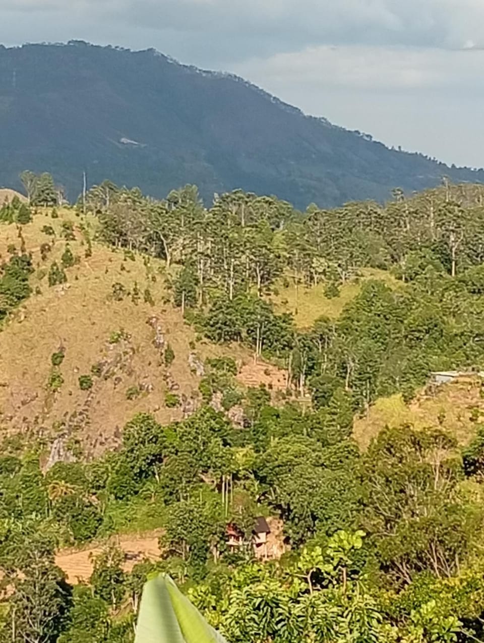 Mountain view