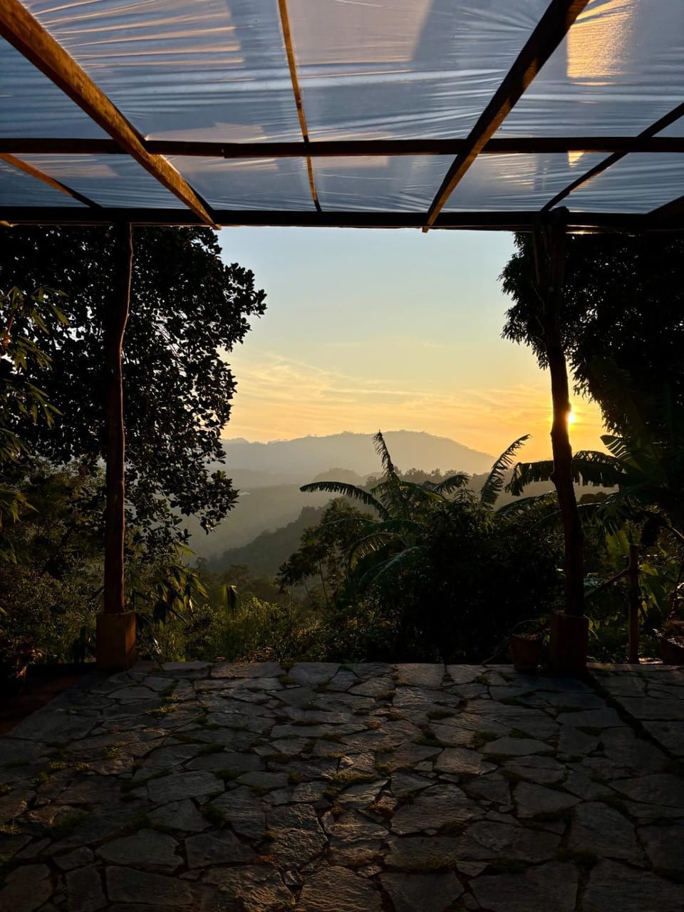 Sunrise