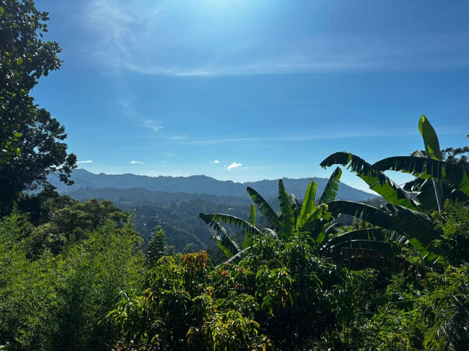 Mountain view
