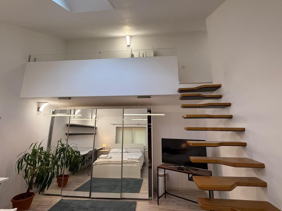 La casa Decebal- centru Cluj Apartment in Cluj-Napoca