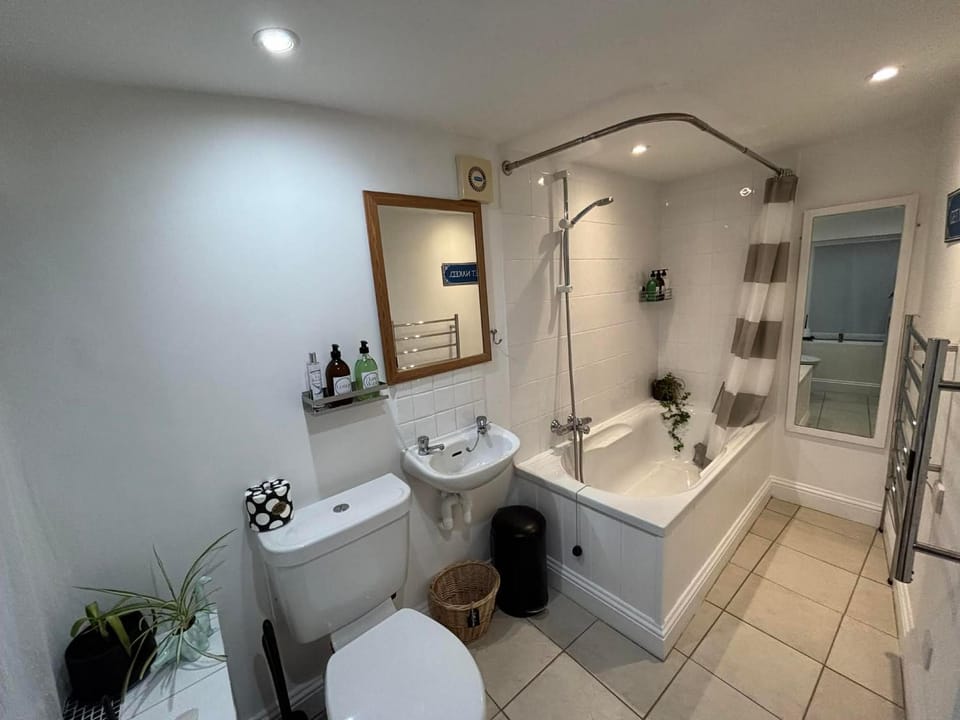 Toilet, Bathroom, Bath