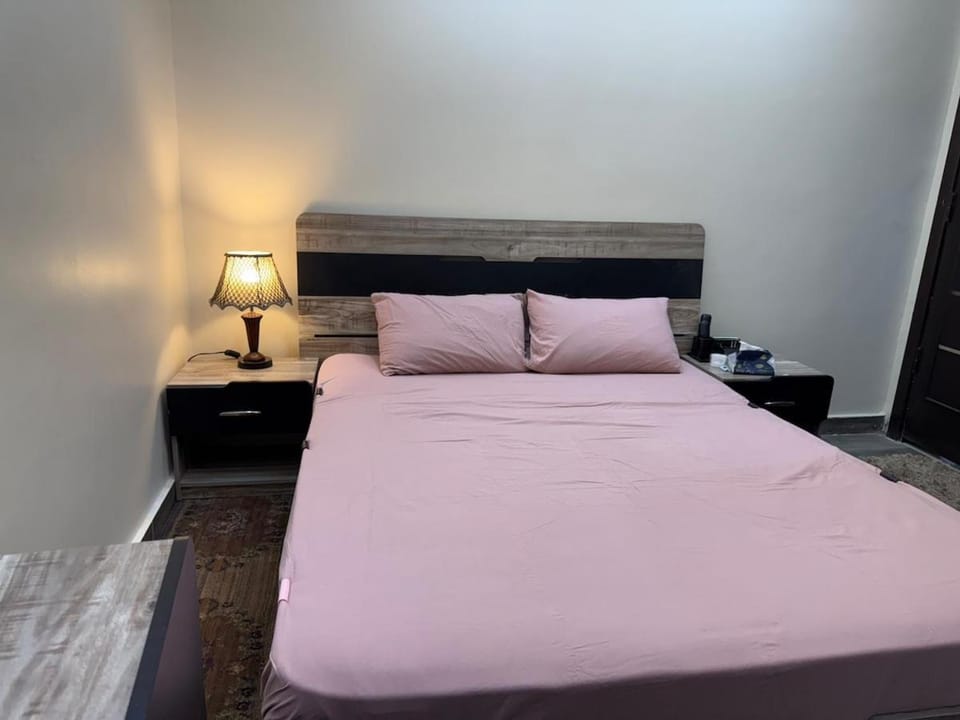 Luxury apartment near cairo airport, private entrance Apartment in New Cairo City