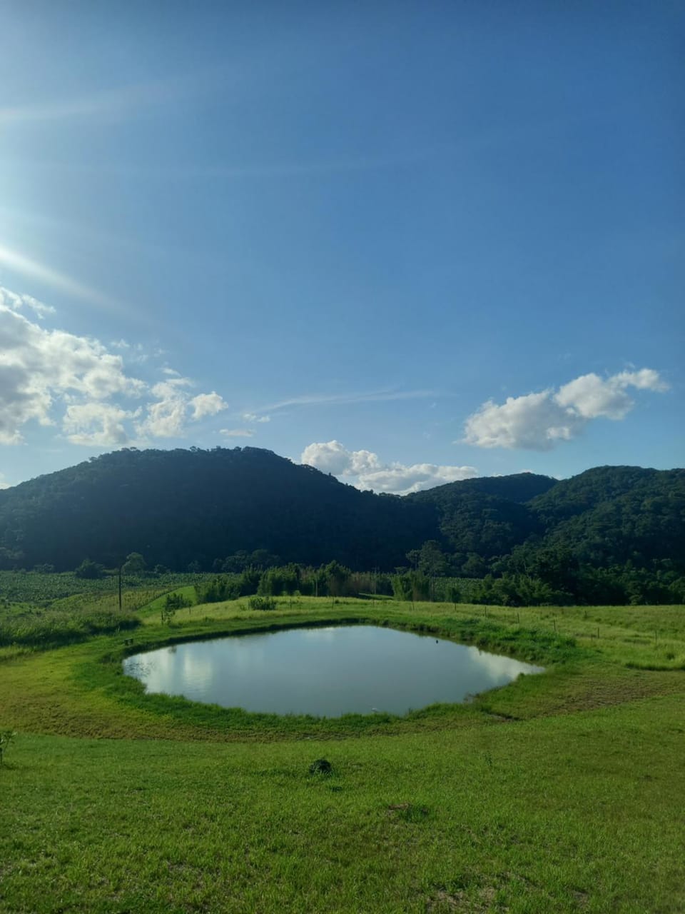 Lake view