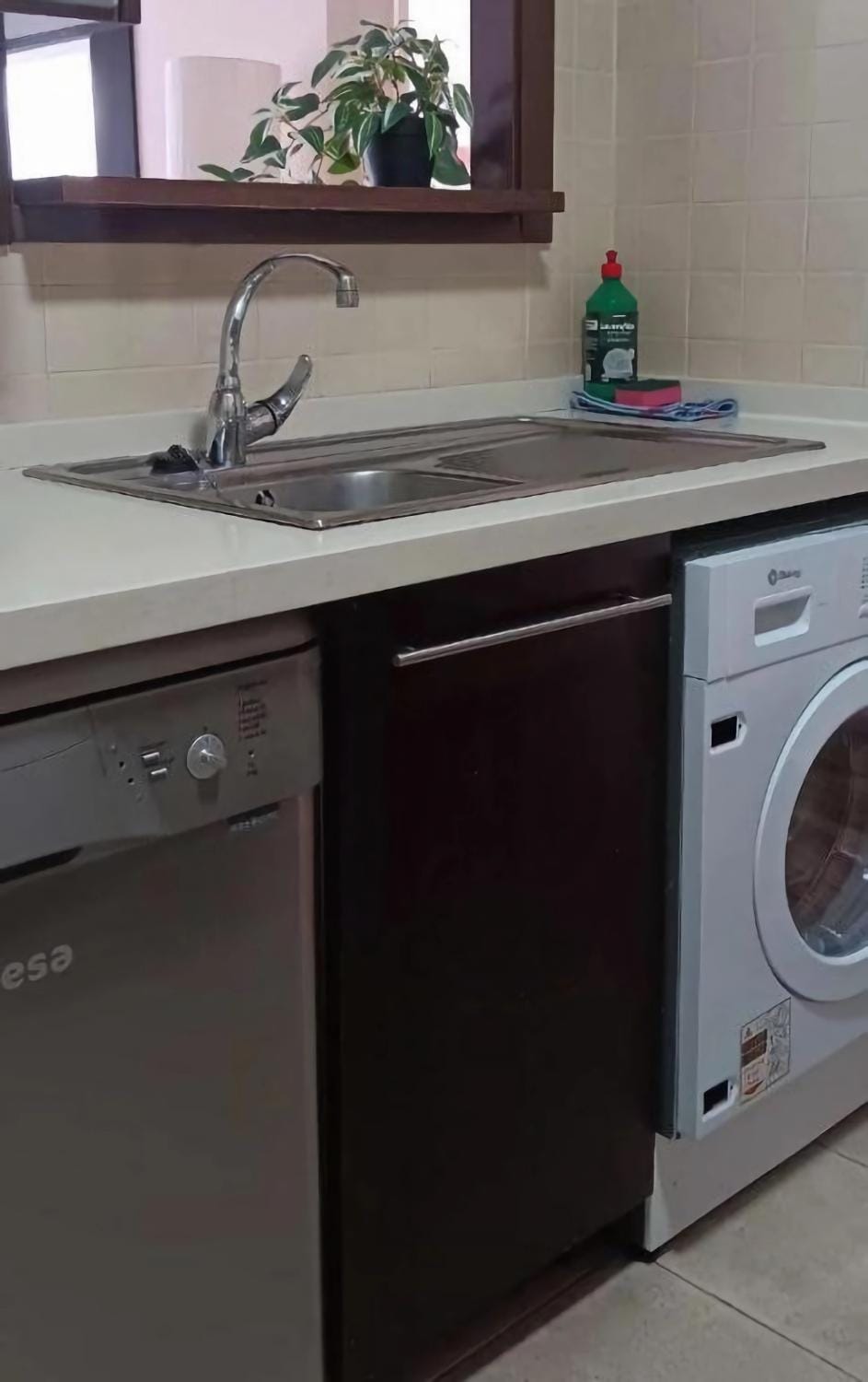 Kitchen or kitchenette, dishwasher, washing machine