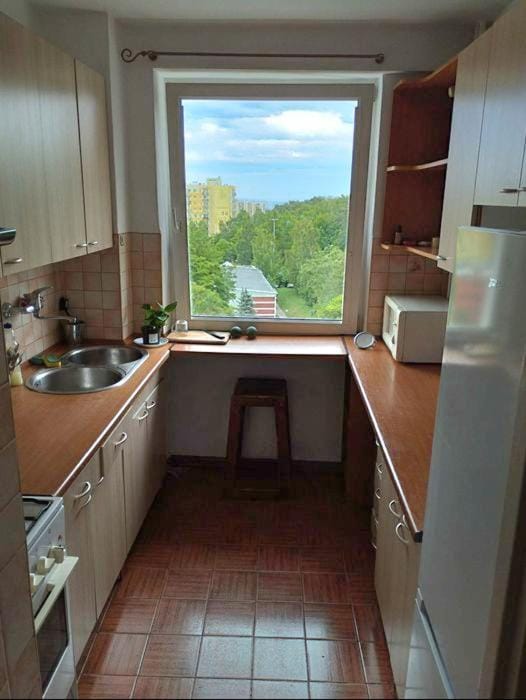 green forest Apartment in Sopot