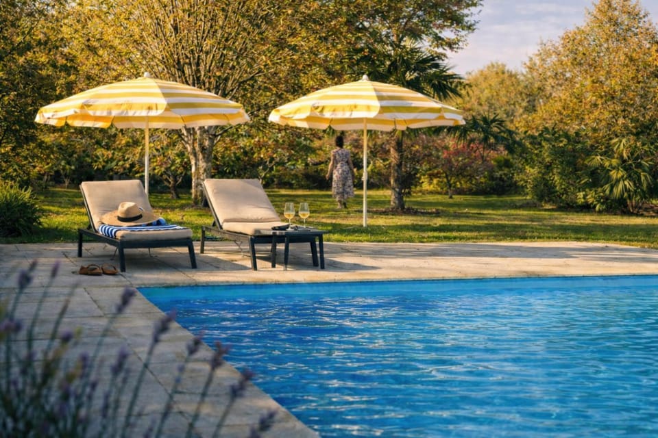 Day, Garden, Garden view, Pool view, Swimming pool, sunbed
