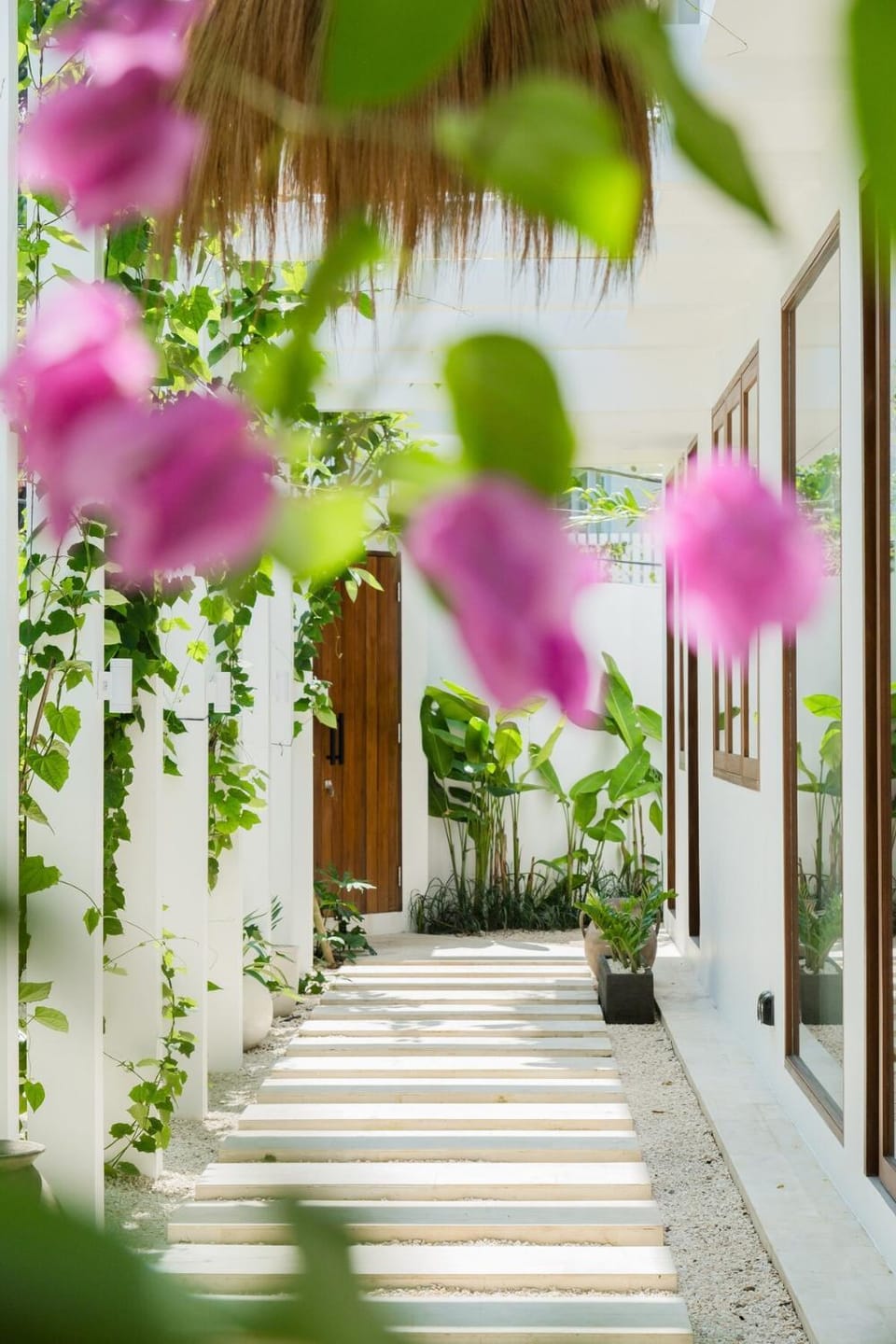 Garden view
