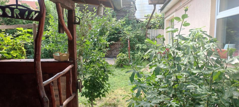 Casa Maya House in Cluj County