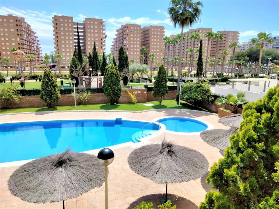Area and facilities, Swimming pool