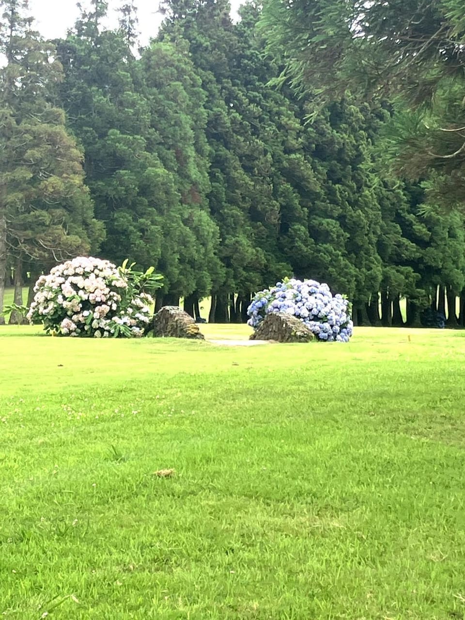 Nearby landmark, Natural landscape, Golfcourse