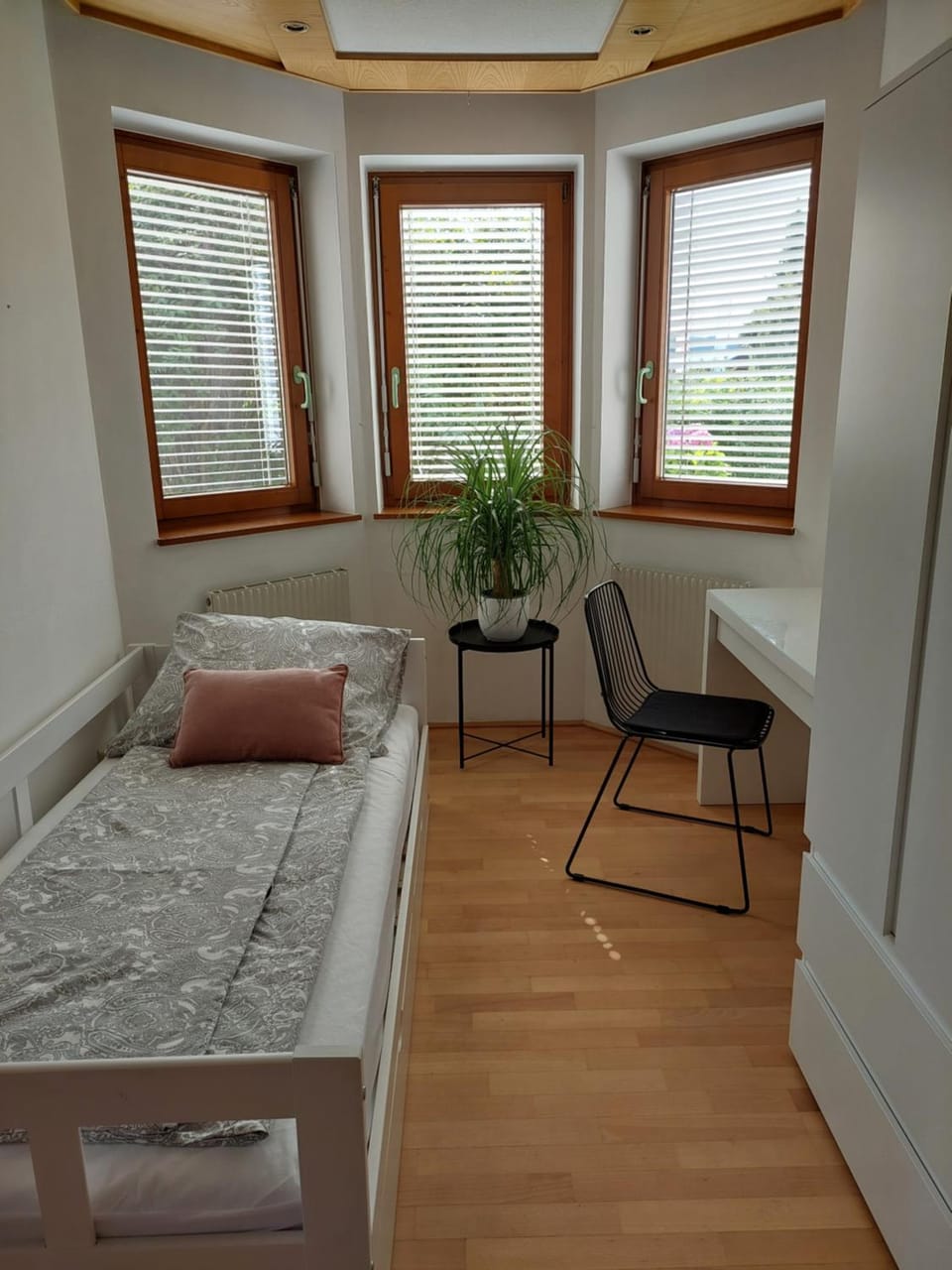 Appartement Wintergarten in Seenähe Apartment in Upper Austria
