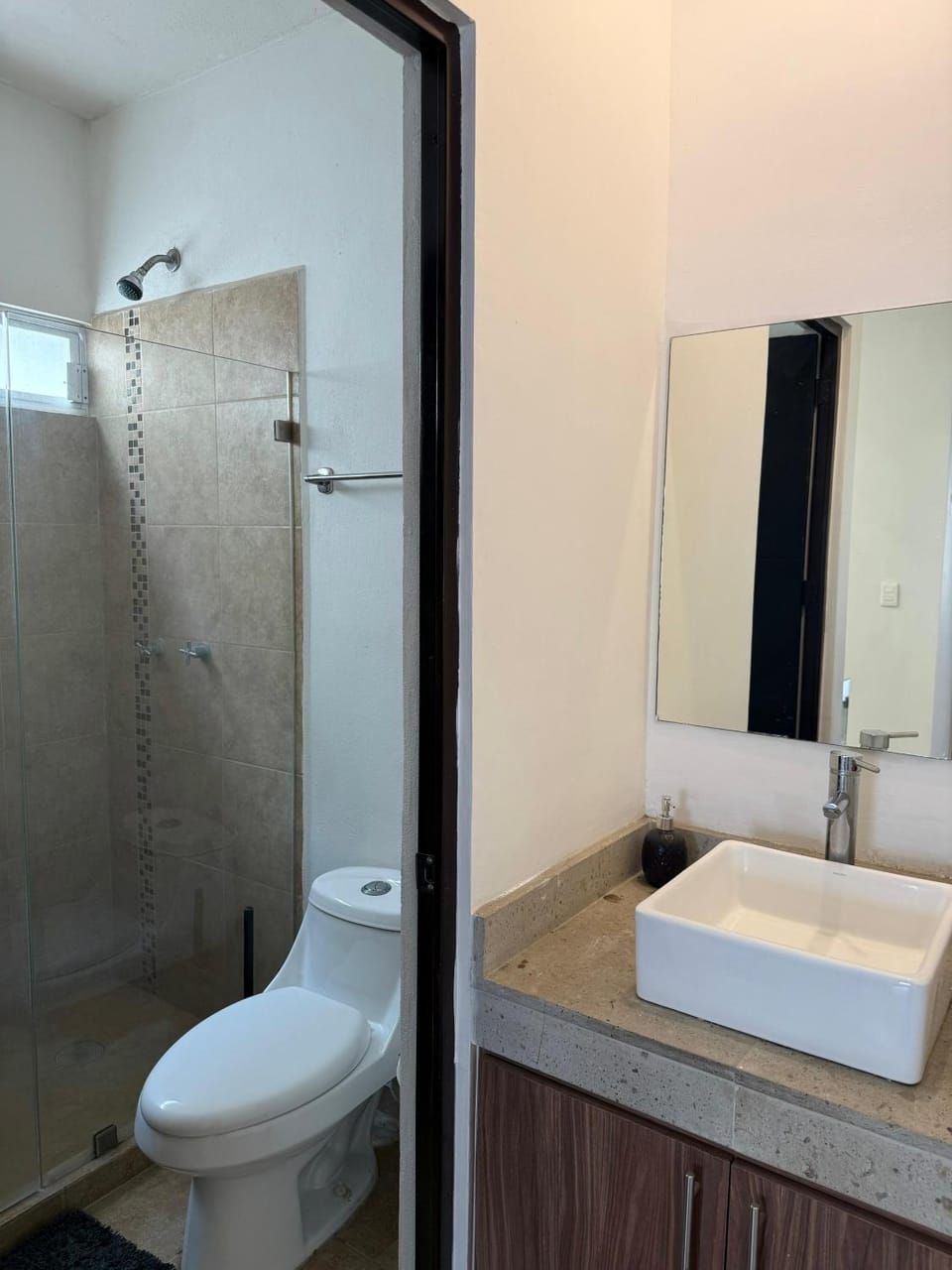 Punta 4 House in Aguascalientes