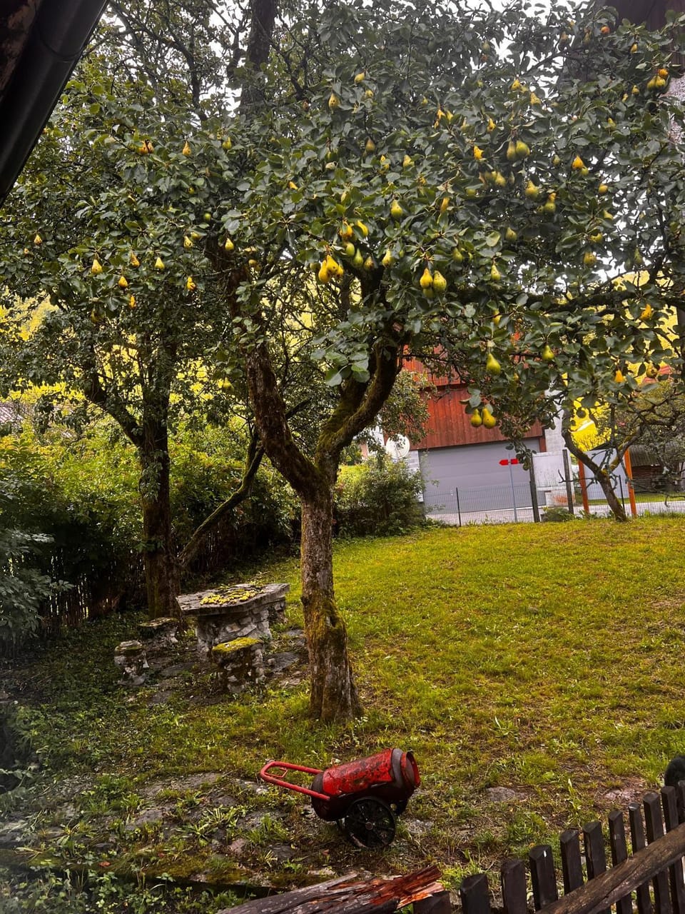 Garden, Garden view