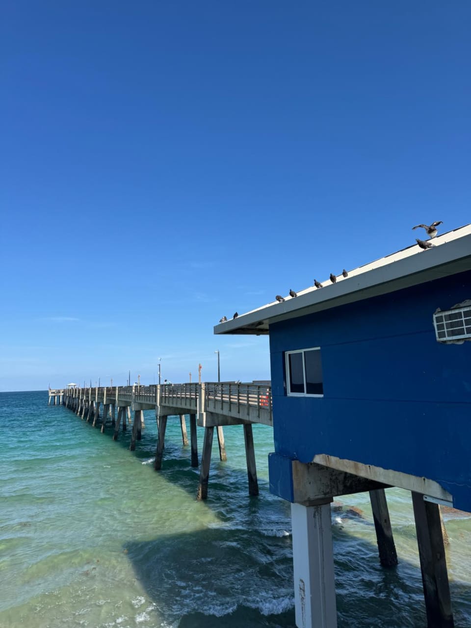 Waterfront Retreat Home Dania Beach House in Dania Beach