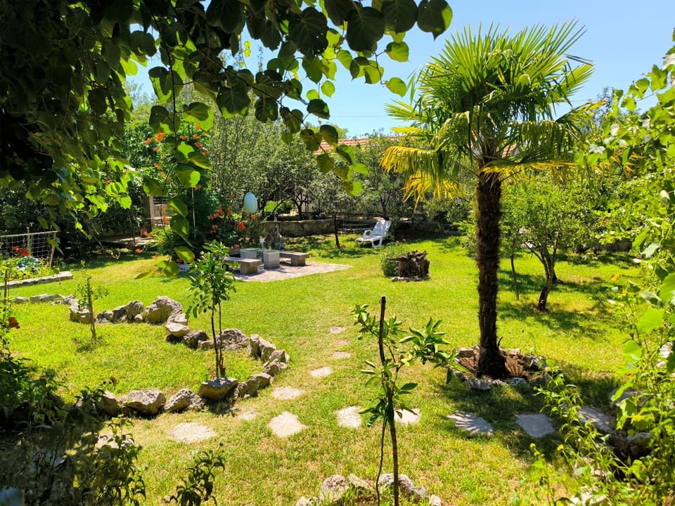 Spring, Day, Natural landscape, Garden, Garden view