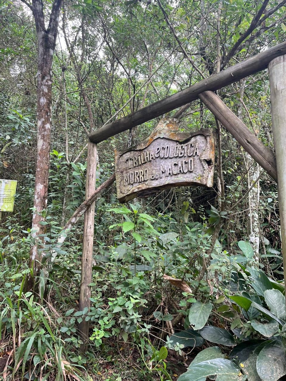 Hiking