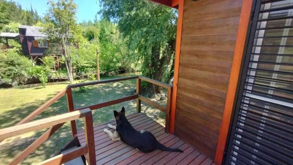 Cabañas Delta Tigre Apartment in Rincón de Milberg