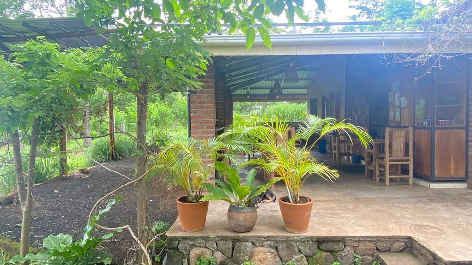 Dragon's Garden dormitorio Hostel in Rivas