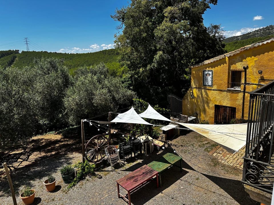 Garden, Garden view