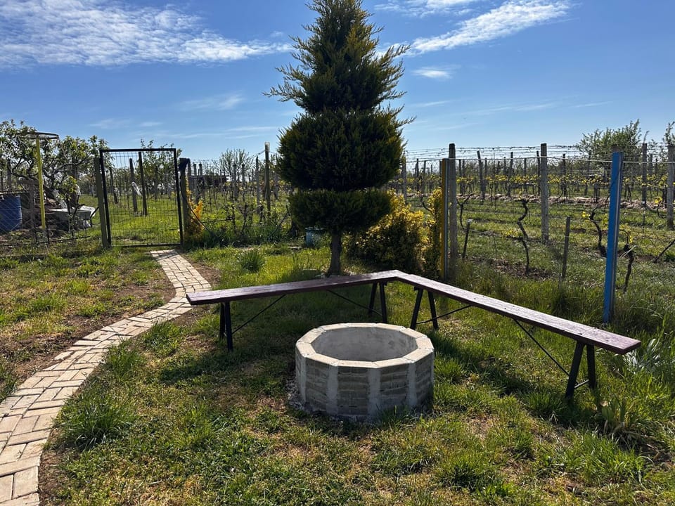Winery oasis House in Romania