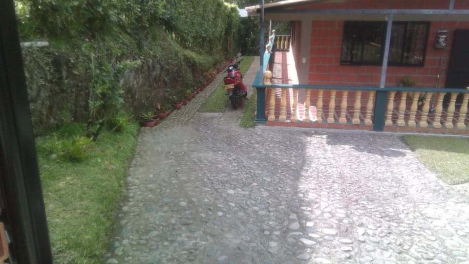 Garden, Garden view, Parking